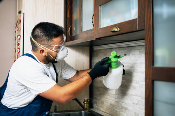 Pest Control Cost in Reese, MI