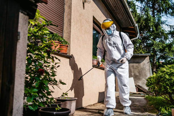 Best Pest Removal Services  in Reese, MI