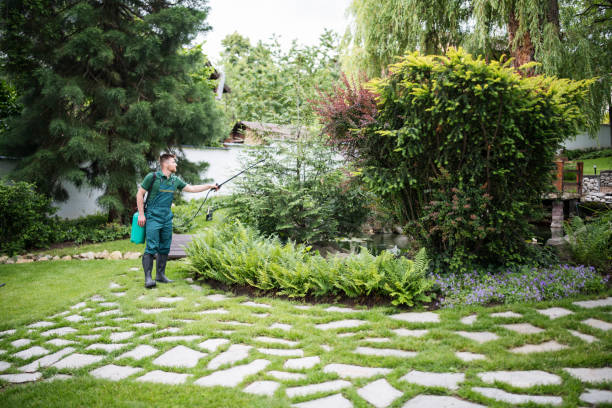 Best Pest Inspection Near Me  in Reese, MI