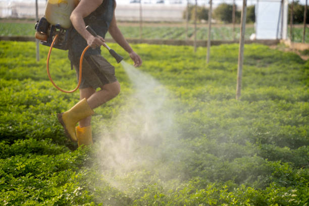 Best Exterminator Services  in Reese, MI