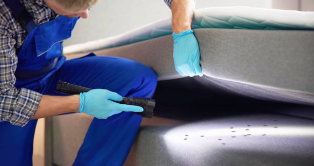 Best Pest Control for Businesses  in Reese, MI