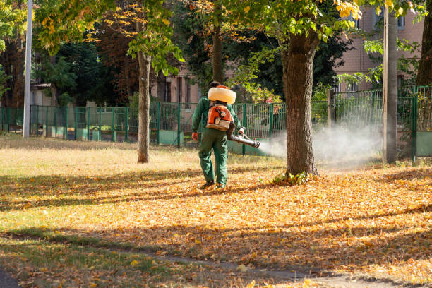 Flea Control Services in Reese, MI
