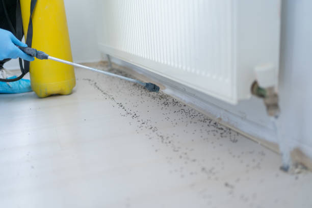 Best Emergency Pest Control  in Reese, MI