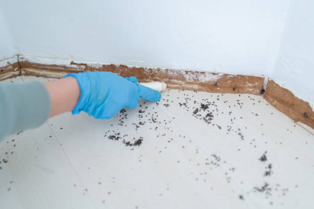 Best Wildlife Control Services  in Reese, MI