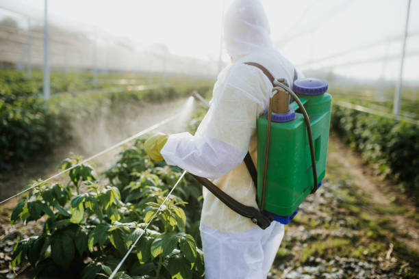 Best Termite Control Services  in Reese, MI